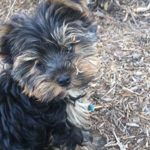 Meet your Posher, Erin